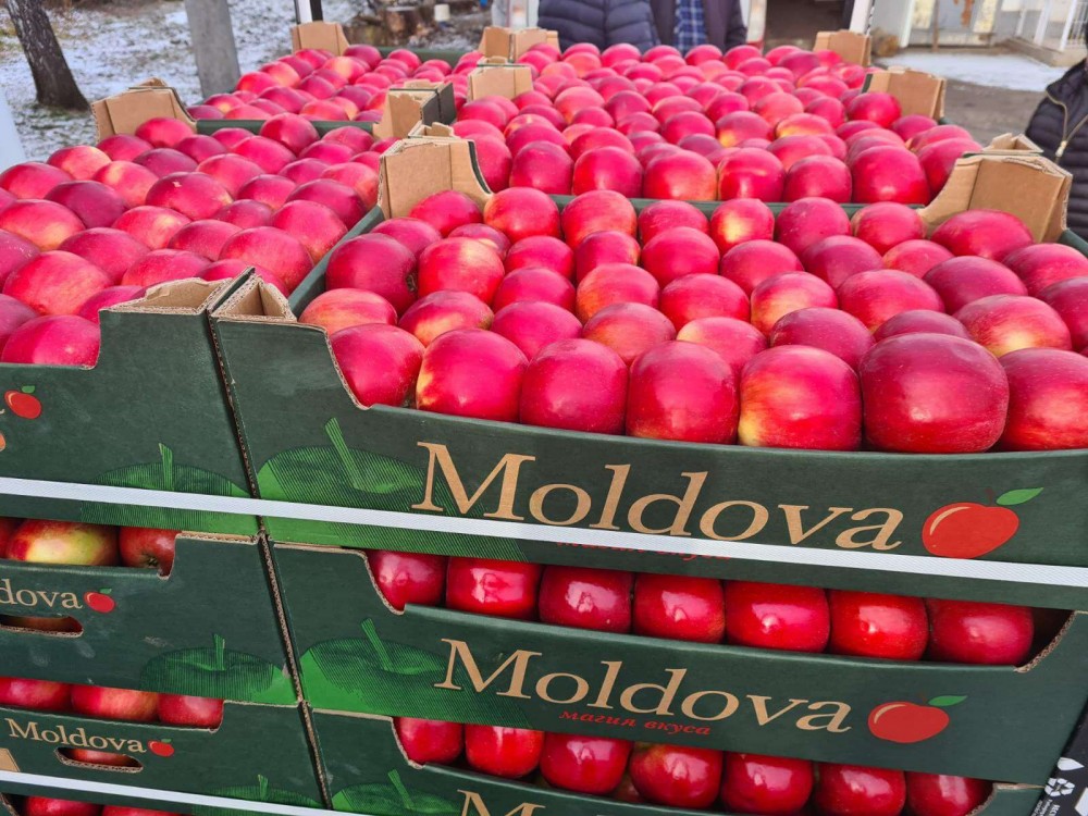 Alți patru producători agricoli din Orhei au primit undă verde, pentru a-și vinde fructele și legumele în Rusia